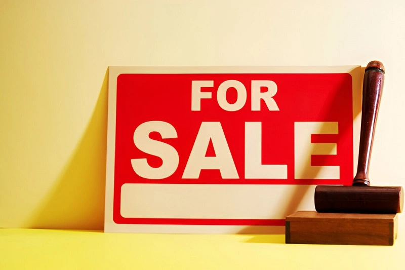 Auction Opportunities (2)